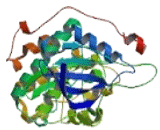 Long Flagella 2 (LF2)