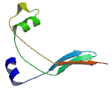 Ceramide Synthase 1 (CERS1)