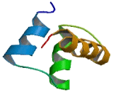 Ceramide Synthase 4 (CERS4)