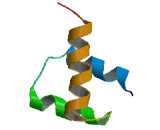 Ceramide Synthase 5 (CERS5)