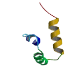 Longevity Assurance Homolog 6 (LASS6)