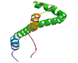 Loss Of Heterozygosity 12, Chromosomal Region 1 (LOH12CR1)