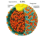 Low Density Lipoprotein (LDL)