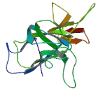 Low Density Lipoprotein Receptor Class A Domain Containing Protein 2 (LDLRAD2)