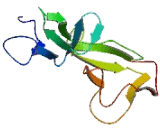 Low Density Lipoprotein Receptor Class A Domain Containing Protein 3 (LDLRAD3)