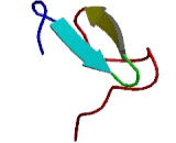 Low Density Lipoprotein Receptor Related Protein 1 (LRP1)