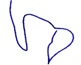 Low Density Lipoprotein Receptor Related Protein 10 (LRP10)