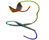 Low Density Lipoprotein Receptor Related Protein 12 (LRP12)