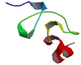 Low Density Lipoprotein Receptor Related Protein 1B (LRP1B)