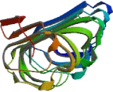 Luteinizing Hormone/Choriogonadotropin Receptor (LHCGR)