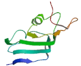 Ly6/PLAUR Domain Containing Protein 6B (LYPD6B)