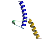 Lymphoblastic Leukemia Derived Sequence 1 (LYL1)