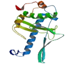 Lymphocyte Alpha Kinase (LaK)