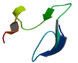 Lymphocyte Antigen 6 Complex, Locus Protein G5B (LY6G5B)