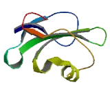 Lymphocyte Antigen 6 Complex, Locus Protein G6C (LY6G6C)