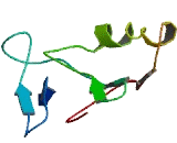 Lymphocyte Antigen 6 Complex, Locus Protein G6D (LY6G6D)