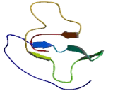 Lymphocyte Antigen 6 Complex, Locus Protein G6E (LY6G6E)