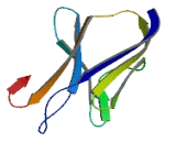 Lymphocyte Antigen 6 Complex, Locus Protein G6F (LY6G6F)