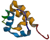 Lymphocyte Cytosolic Protein 2 (LCP2)