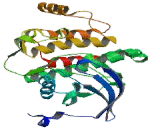 Lymphocyte Specific Protein Tyrosine Kinase (LCK)