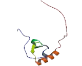 Chemokine (C motif) ligand (XCL1)