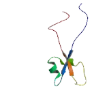 LysM And Putative Peptidoglycan Binding Domain Containing Protein 1 (LYSMD1)