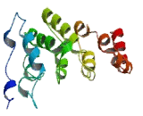 LysM And Putative Peptidoglycan Binding Domain Containing Protein 2 (LYSMD2)