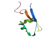 LysM And Putative Peptidoglycan Binding Domain Containing Protein 4 (LYSMD4)