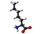 Lysine (Lys)