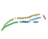 Lysine Rich Coiled Coil Protein 1 (KRCC1)