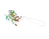 Lysine Specific Demethylase 2A (KDM2A)