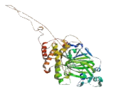 Lysine Specific Demethylase 2B (KDM2B)