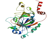 Lysine Specific Demethylase 3A (KDM3A)