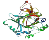 Lysine Specific Demethylase 3B (KDM3B)