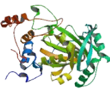 Lysine Specific Demethylase 4A (KDM4A)