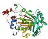 Lysine Specific Demethylase 4B (KDM4B)