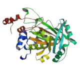 Lysine Specific Demethylase 4D (KDM4D)