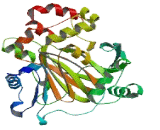 Lysine Specific Demethylase 4D Like Protein (KDM4DL)