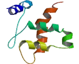 Lysine Specific Demethylase 5A (KDM5A)