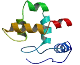 Lysine Specific Demethylase 5B (KDM5B)