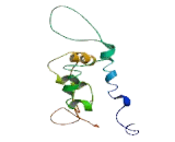 Lysine Specific Demethylase 6B (KDM6B)