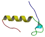 Lysocardiolipin Acyltransferase 1 (LCLAT1)