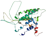 Lysophosphatidic Acid Receptor 2 (LPAR2)