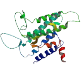 Lysophosphatidic Acid Receptor 3 (LPAR3)