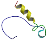 Lysophosphatidic Acid Receptor 4 (LPAR4)