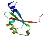 Lysophosphatidic Acid Receptor 5 (LPAR5)