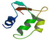 Lysophosphatidylcholine Acyltransferase 2 (LPCAT2)