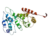 Lysophosphatidylethanolamine Acyltransferase 1 (LPEAT1)