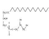 Lysophosphatidylglycerol (LPG)