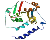 Lysophosphatidylglycerol Acyltransferase 1 (LPGAT1)